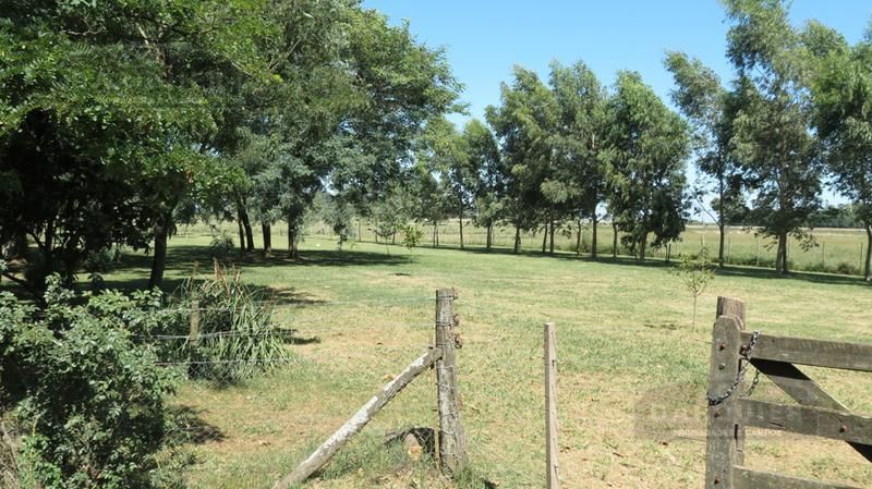 Campo EN VENTA
