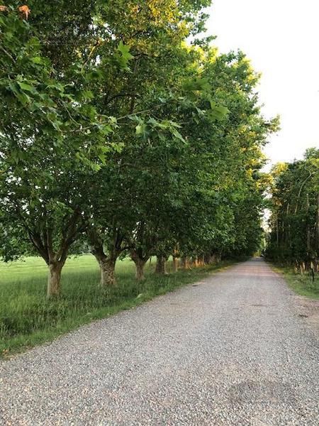 Lote EN VENTA