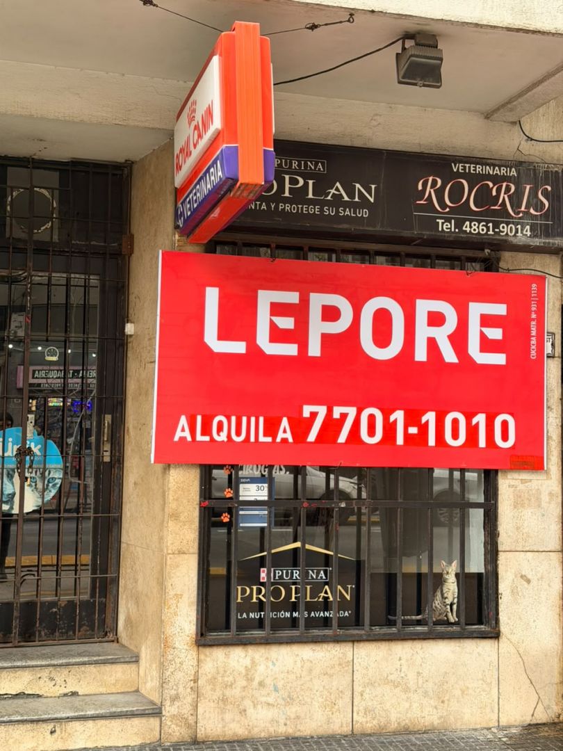 Local Comercial en BILLINGHURST 900