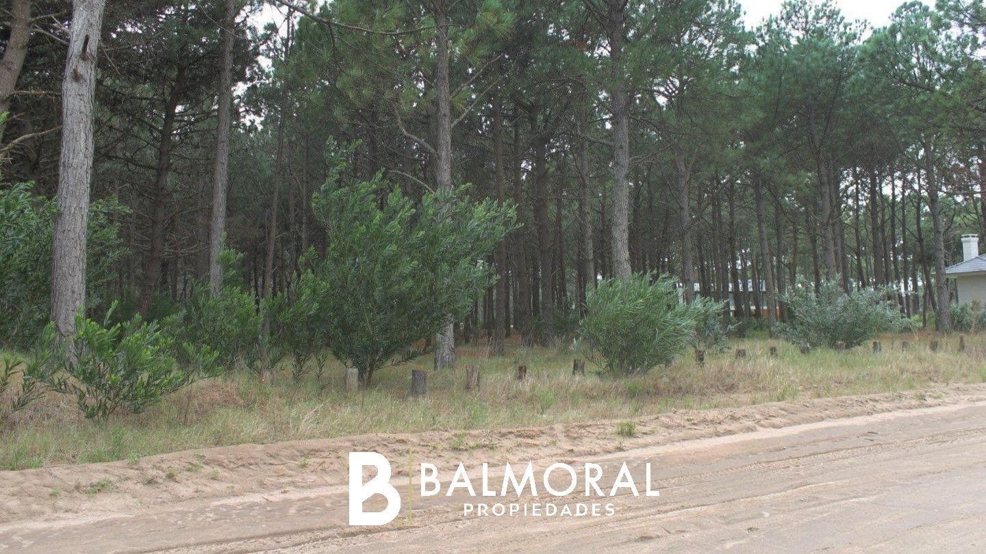 Lote EN VENTA