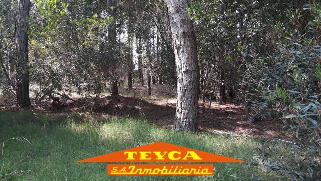 Lote en venta Norte 0 ambientes