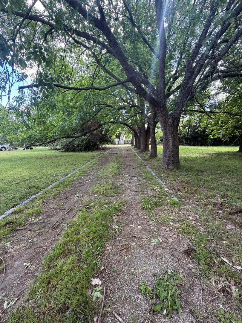 VENTA DE CAMPO EN Brandsen - Gómez de la Vega - 47