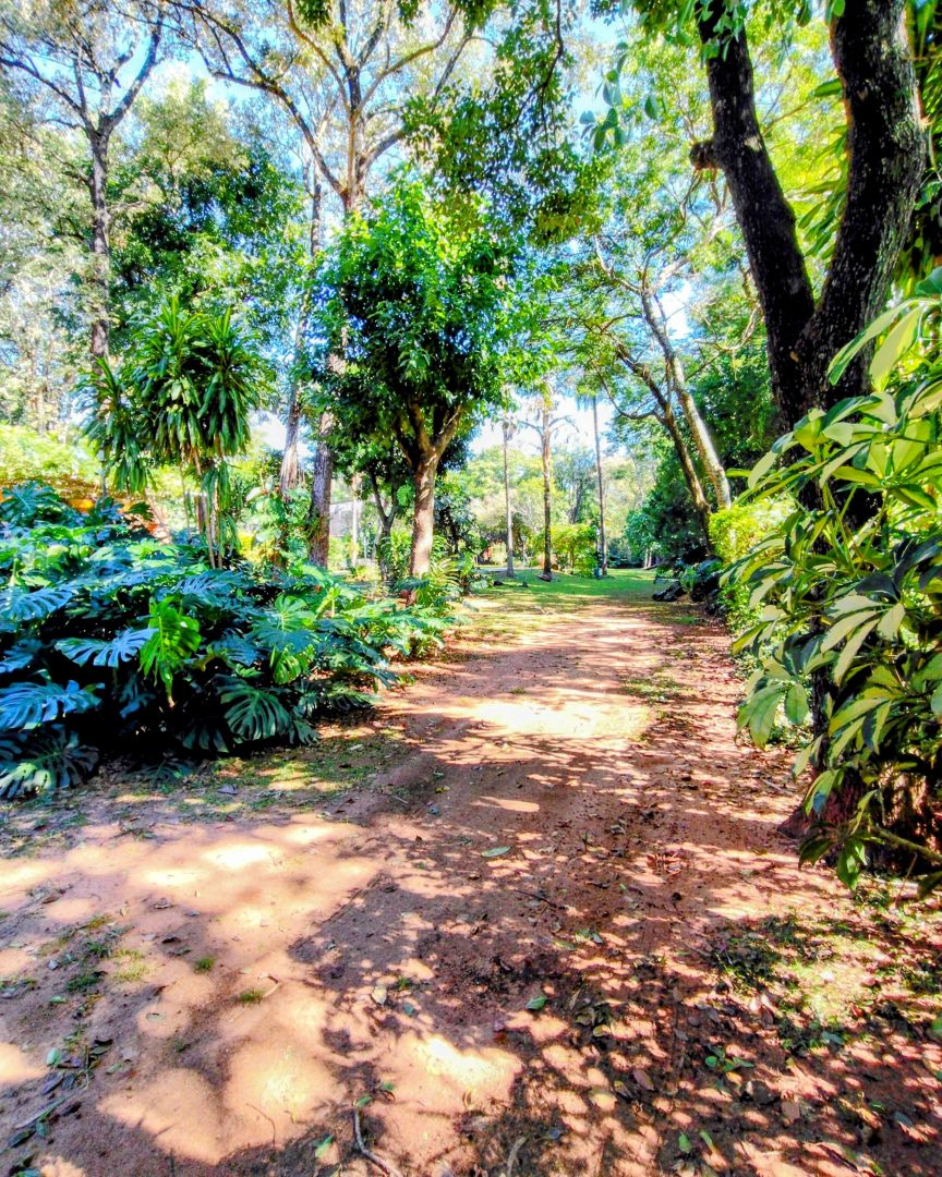 Hermosa casa quinta en Posadas, Misiones, en exclusiva zona. — foto 8