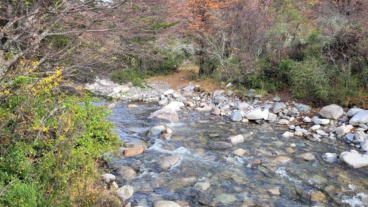 Campo EN VENTA