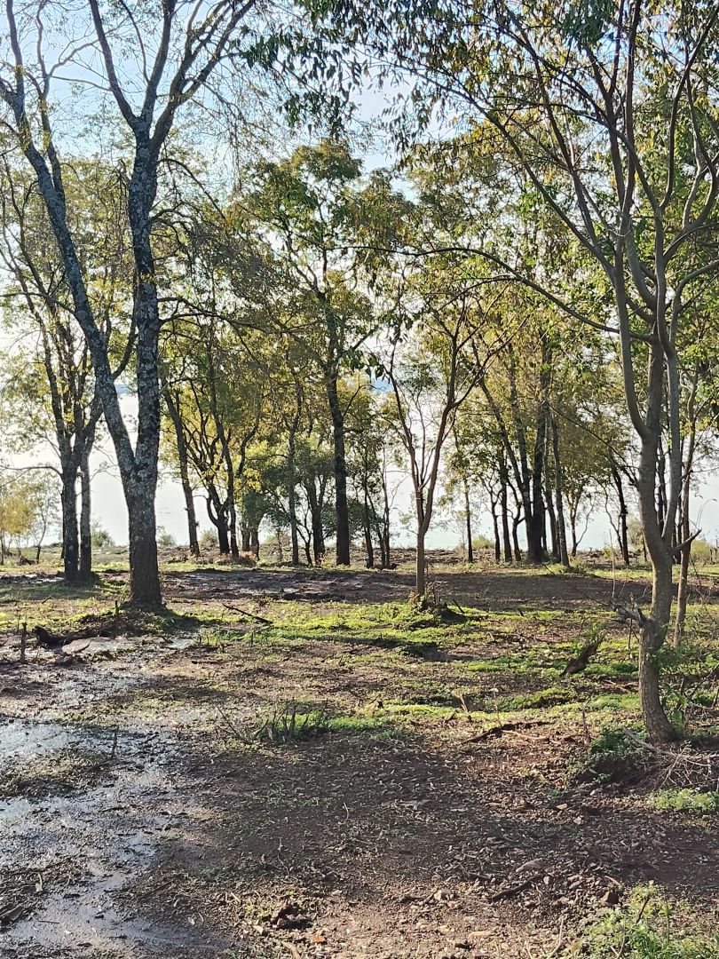 En venta hermoso lote de 900 m2 en barrio costa mango en Posadas mnes — foto 8