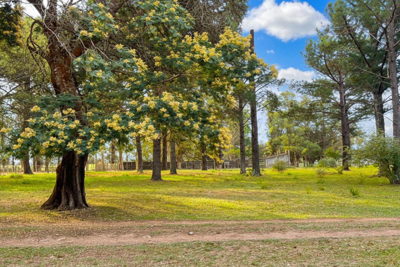 Campo EN VENTA