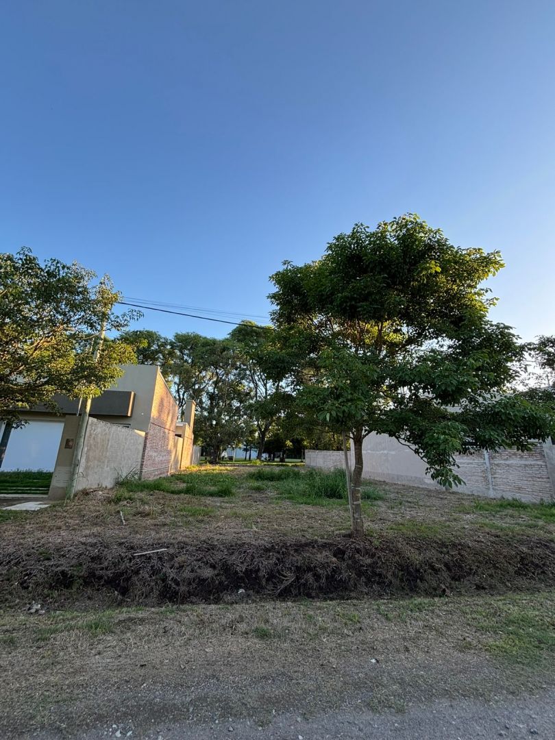Terreno en Esperanza, ESTE · foto 2