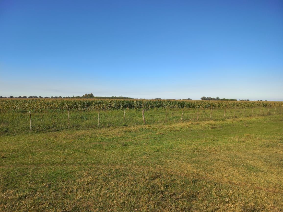 Campo EN VENTA