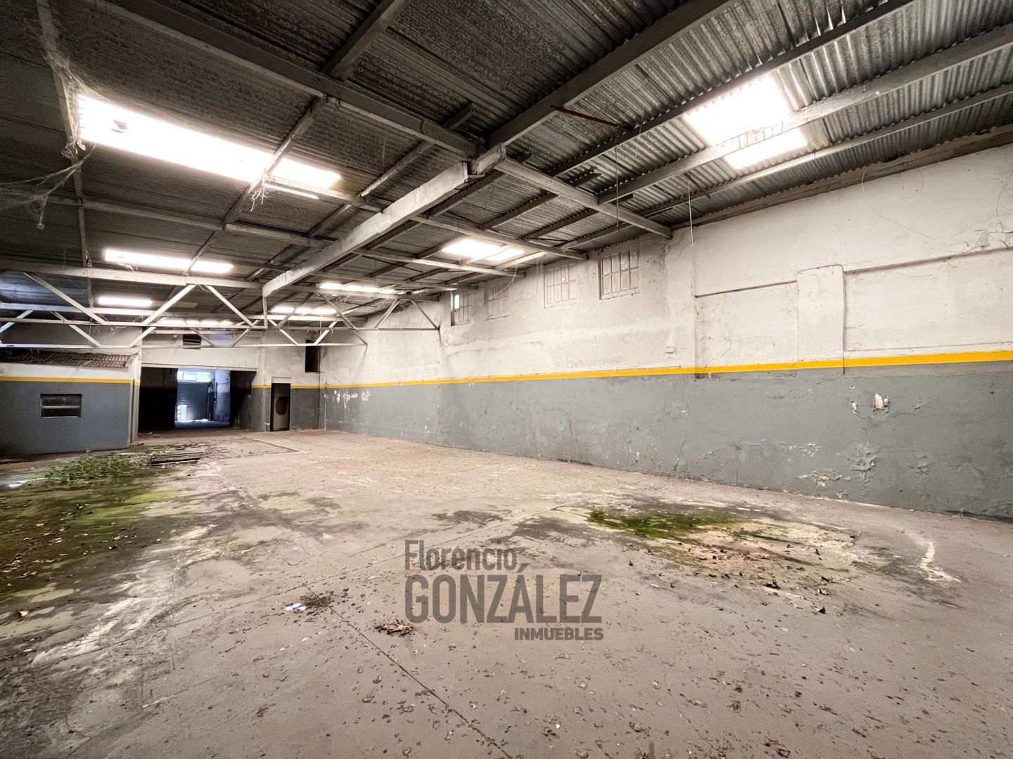 VENTA DEPOSITO GALPON FLORES 3 EN 1 LOTE DE 9,72 X 42