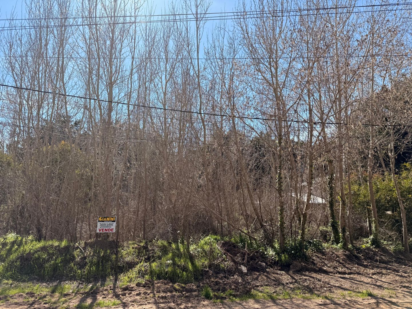 Lote EN VENTA