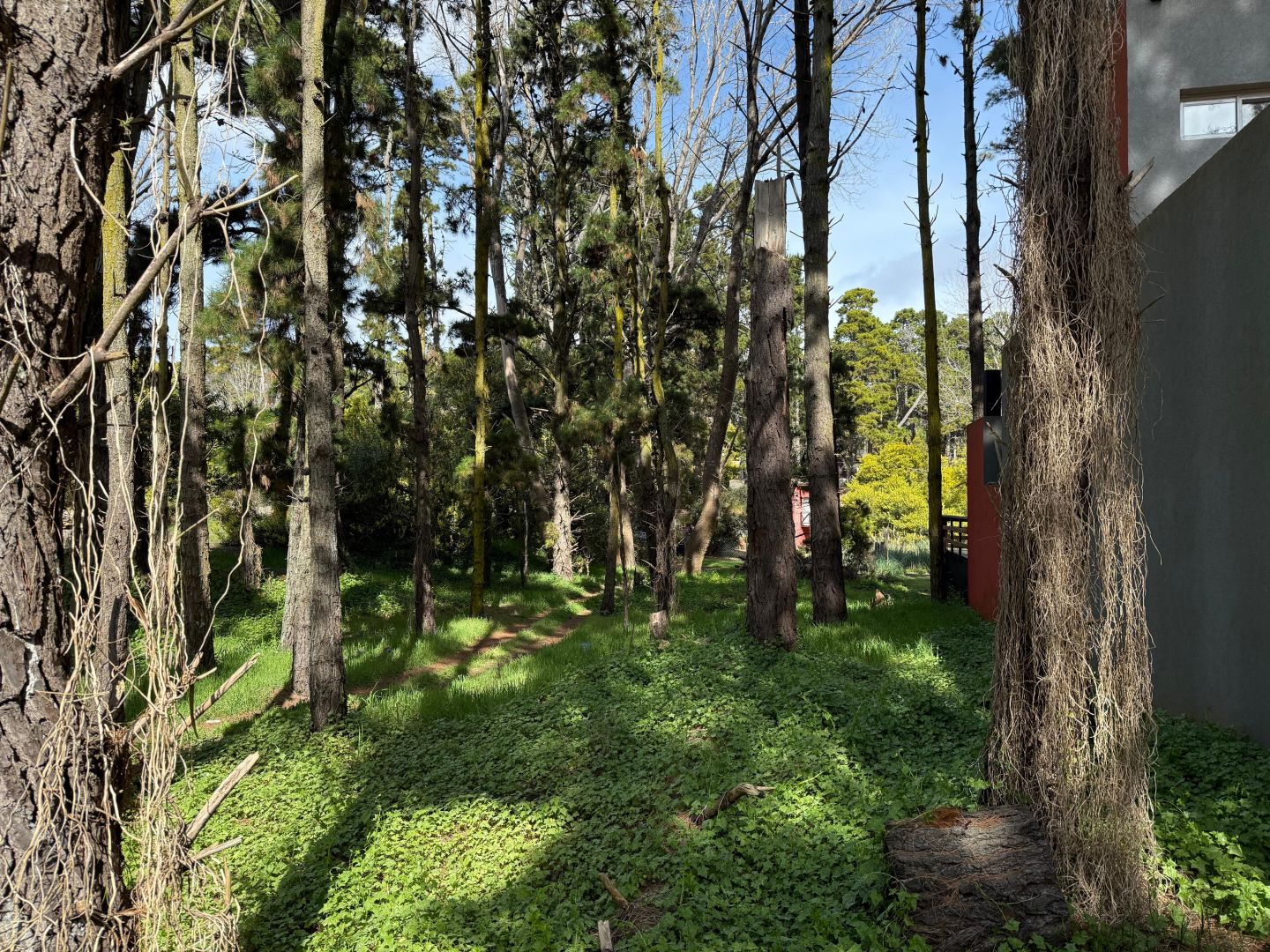 Lote EN VENTA