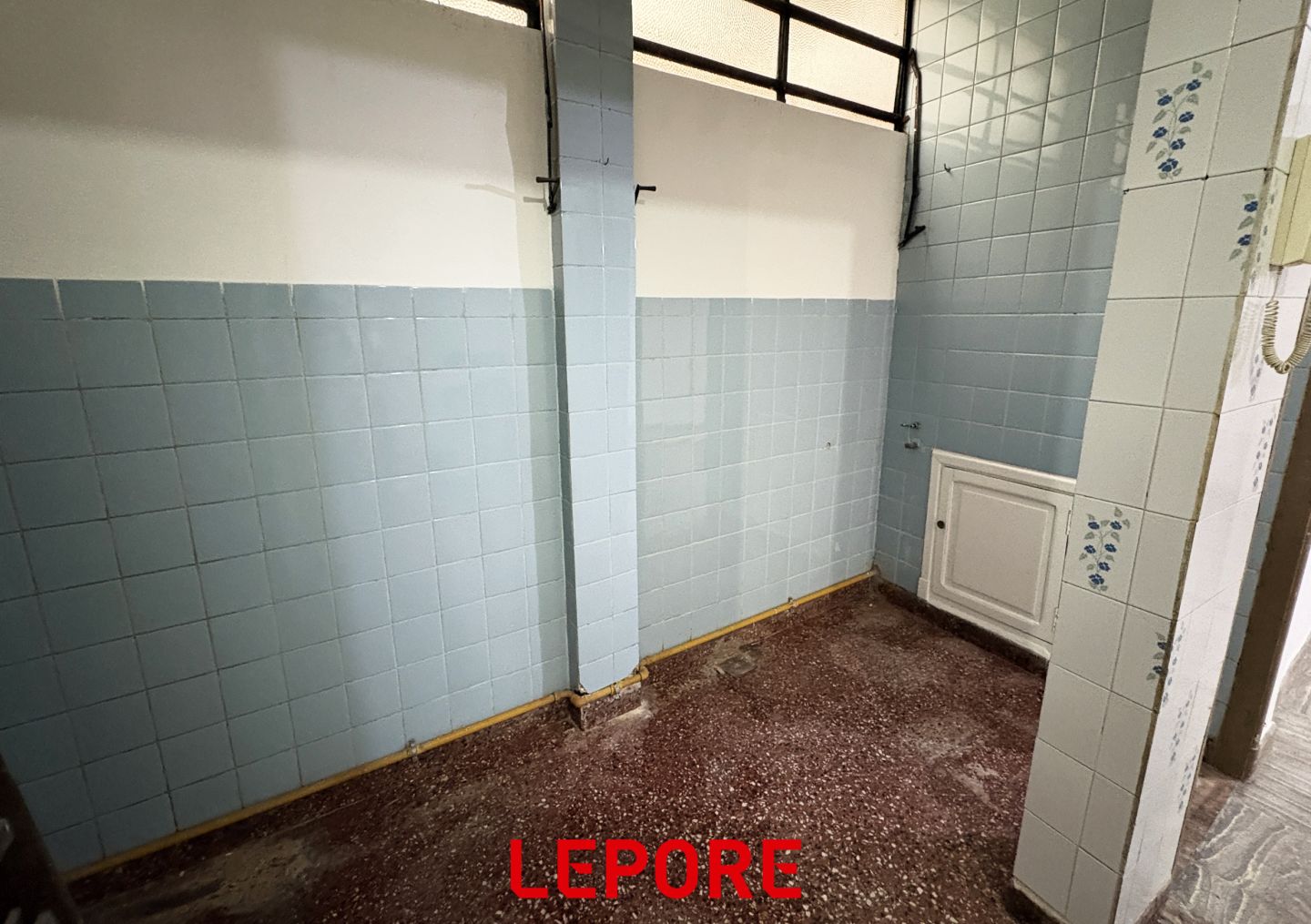 Imagen 8