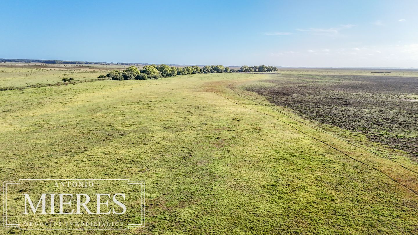 Campo EN VENTA