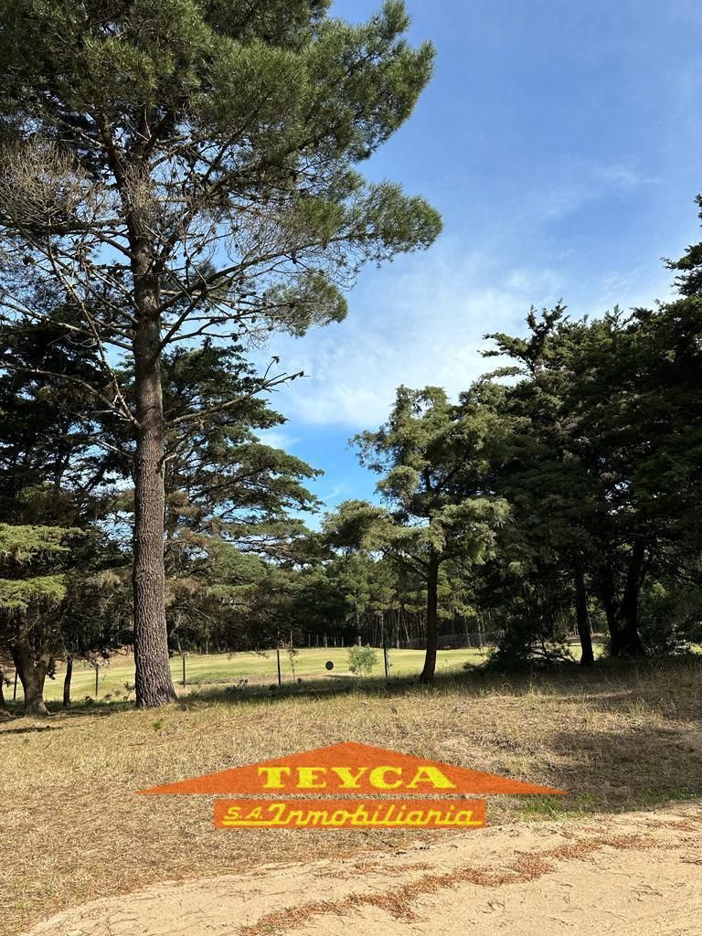 Lote en venta Golf Nuevo 0 ambientes