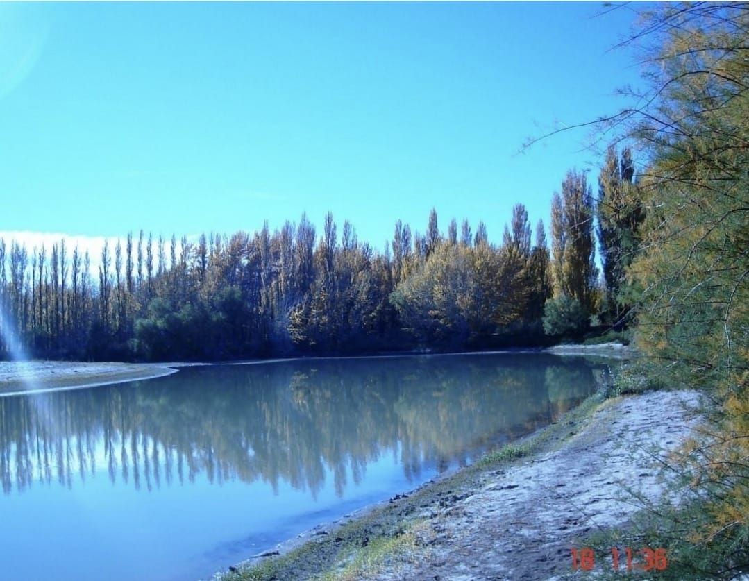 Campo EN VENTA