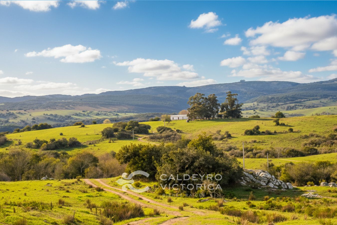 Campo EN VENTA