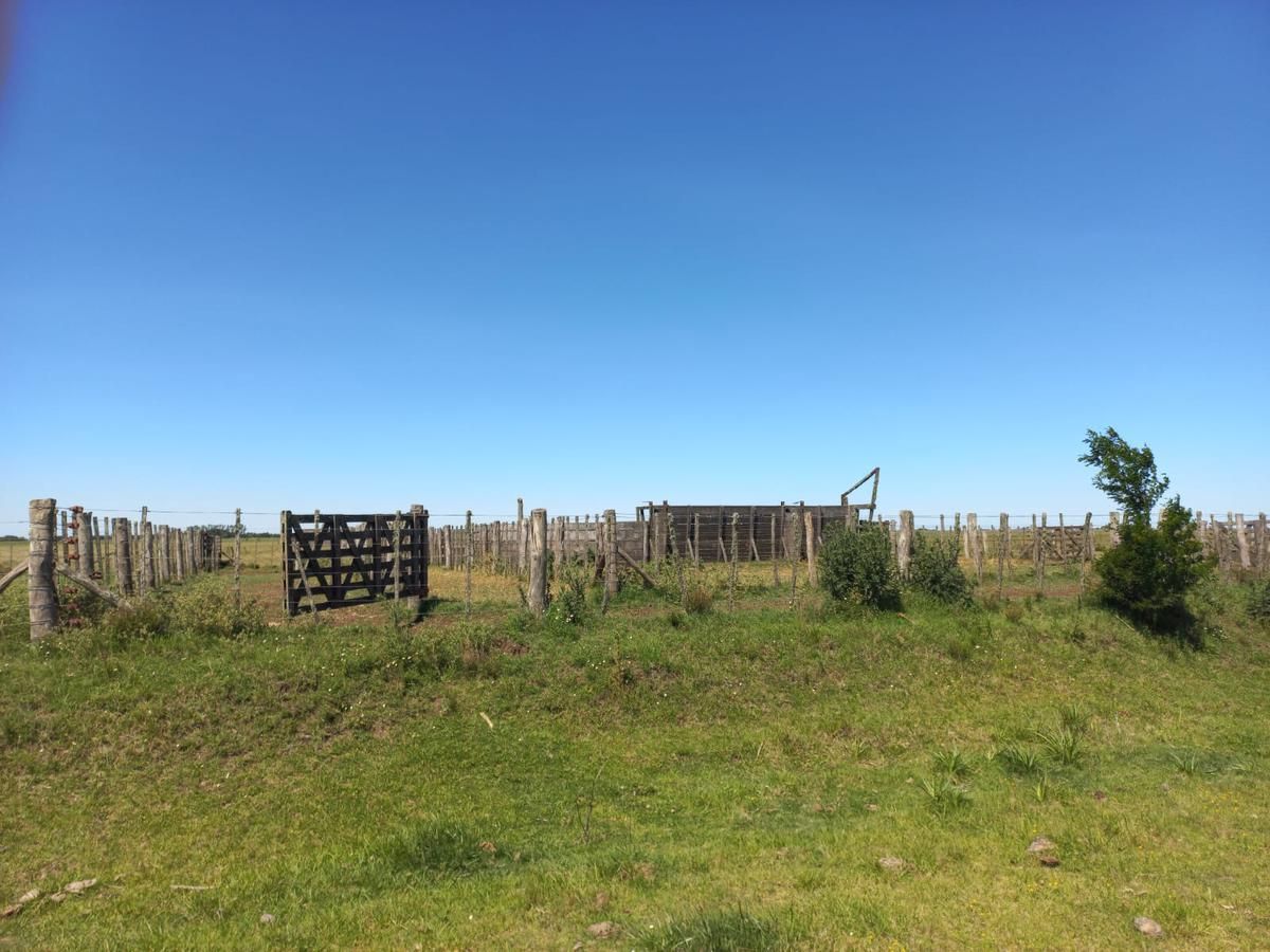 Campo EN VENTA