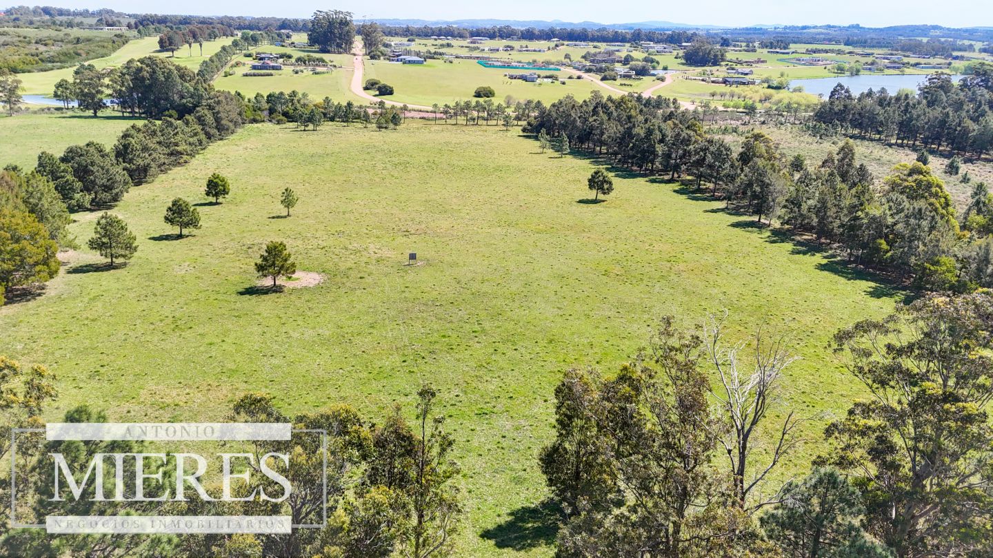 Quinta EN VENTA
