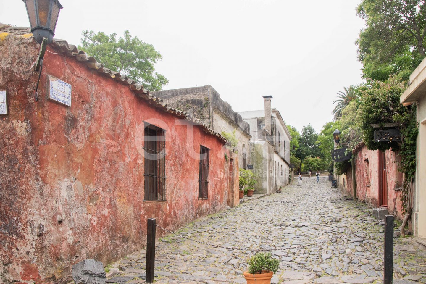 Lote EN VENTA