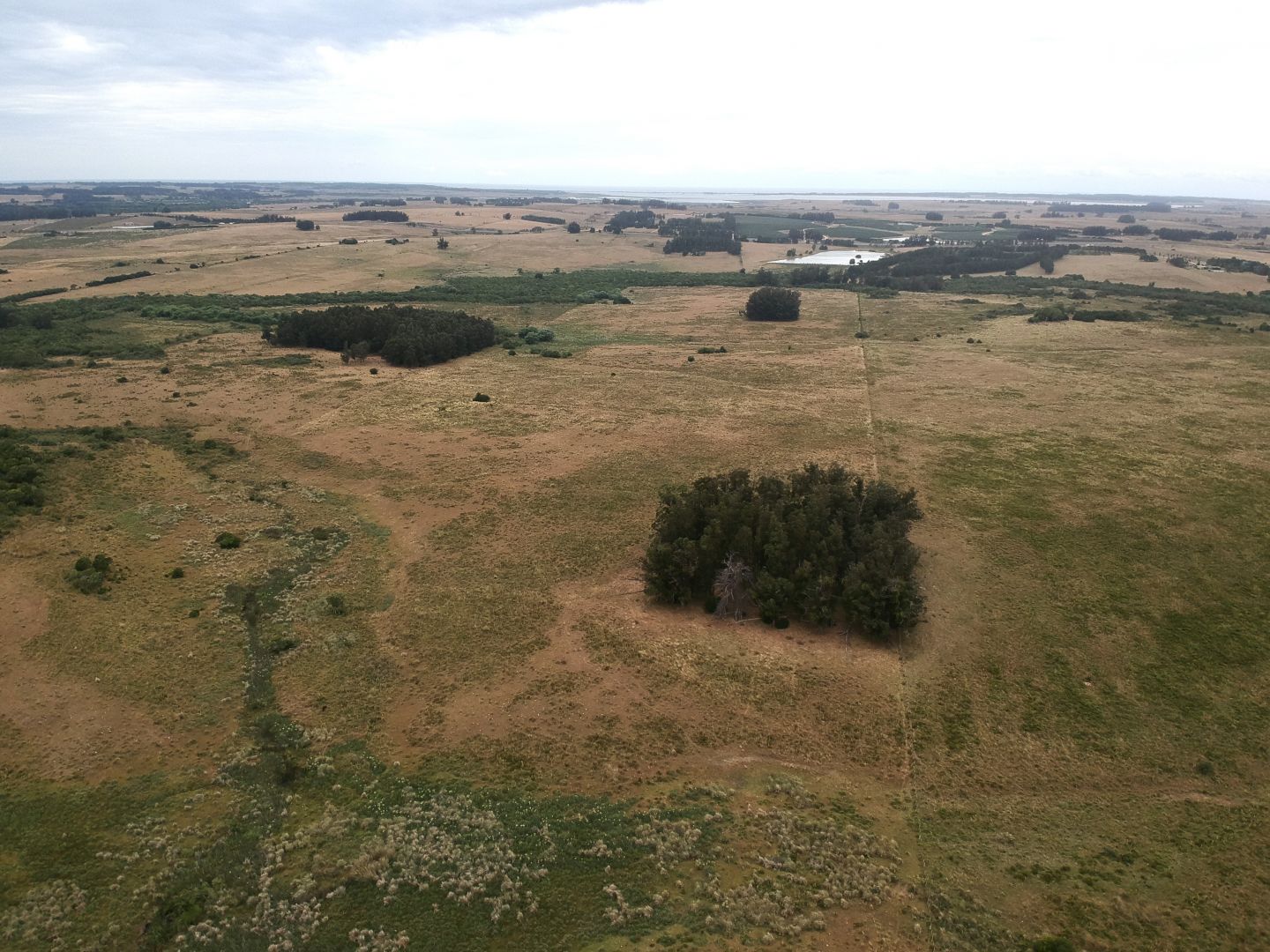 Campo EN VENTA
