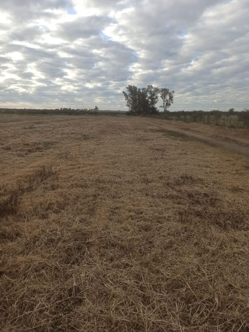 Campo EN VENTA