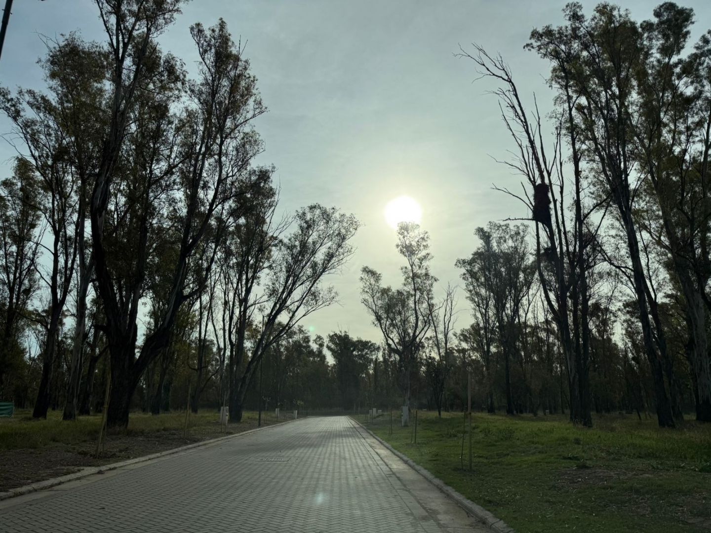 Lote EN VENTA
