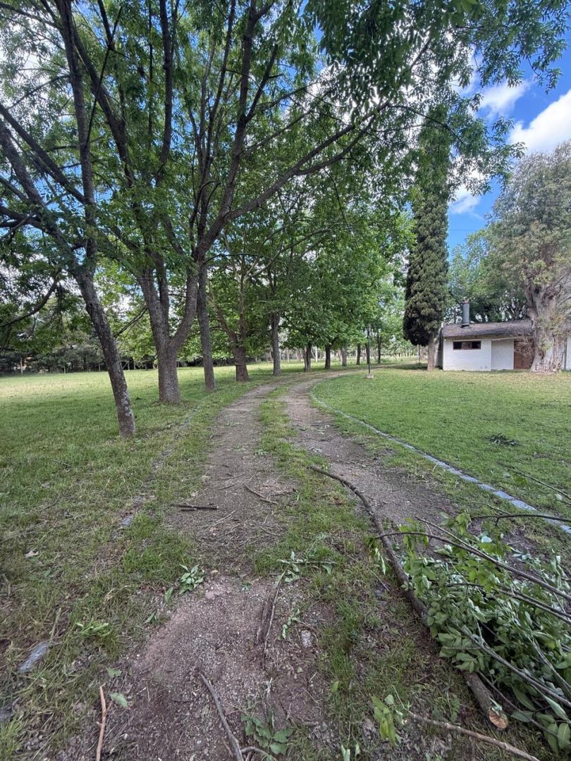 VENTA DE CAMPO EN Brandsen - Gómez de la Vega - 49