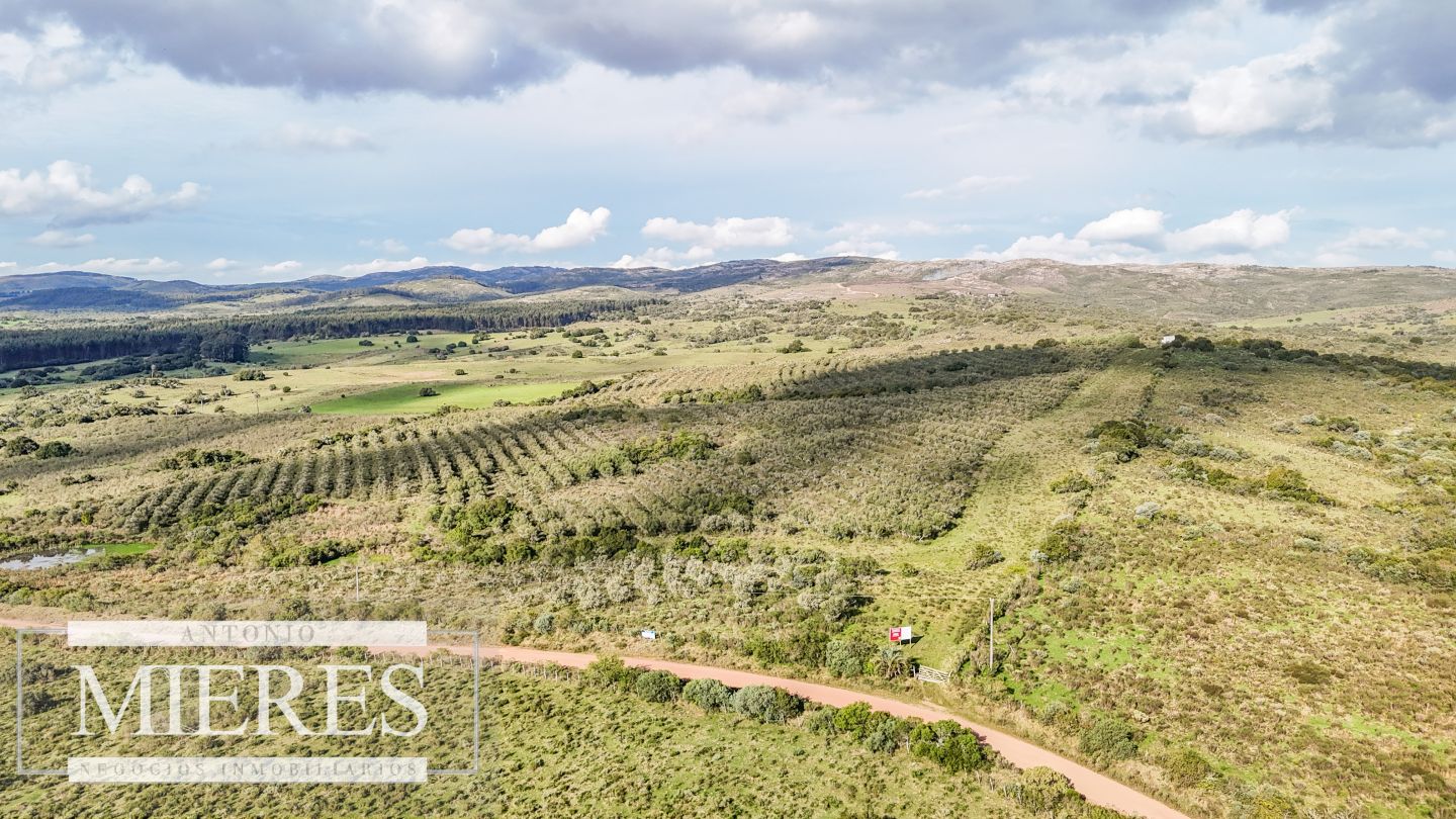 Campo EN VENTA