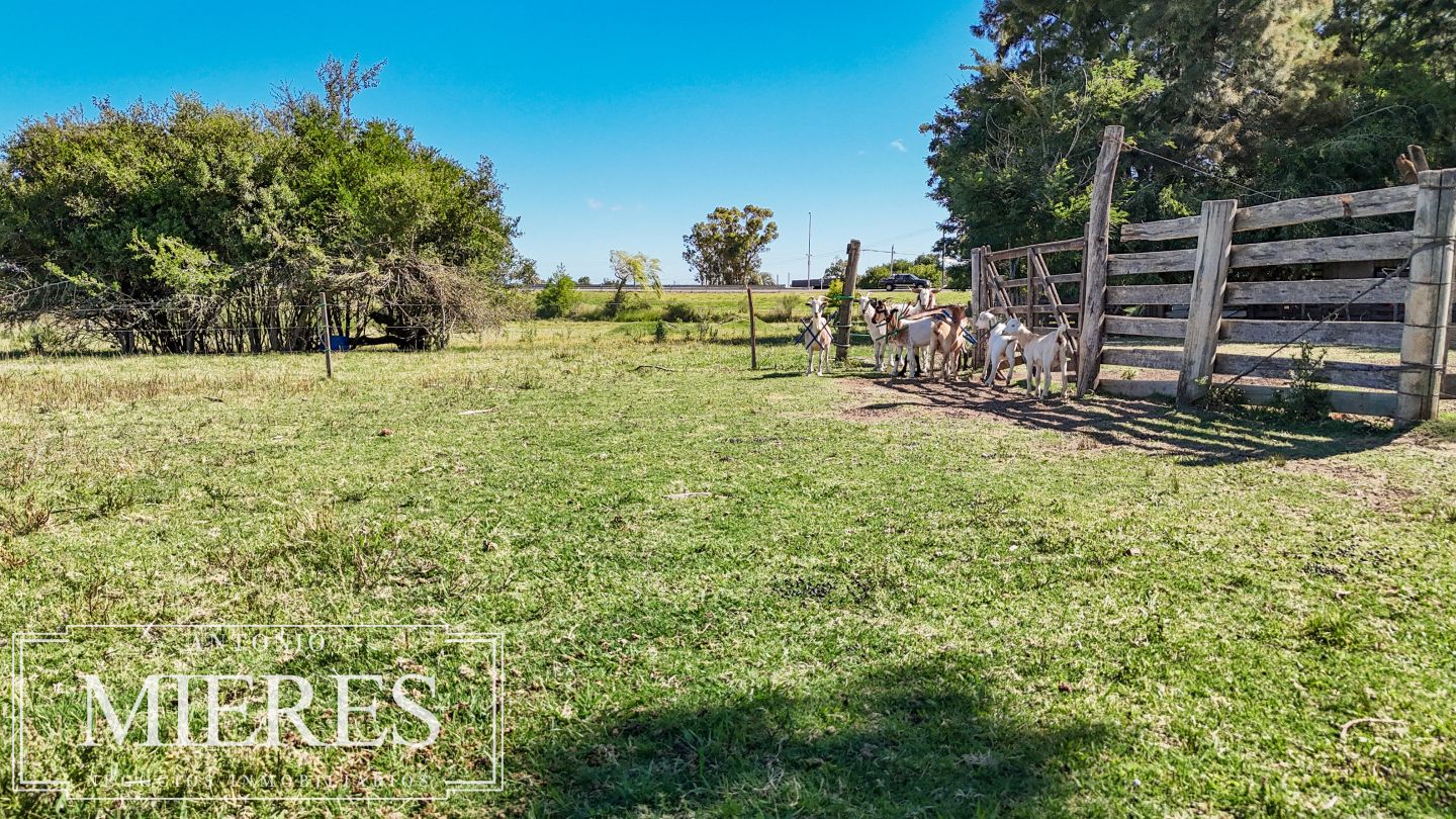 Quinta EN VENTA