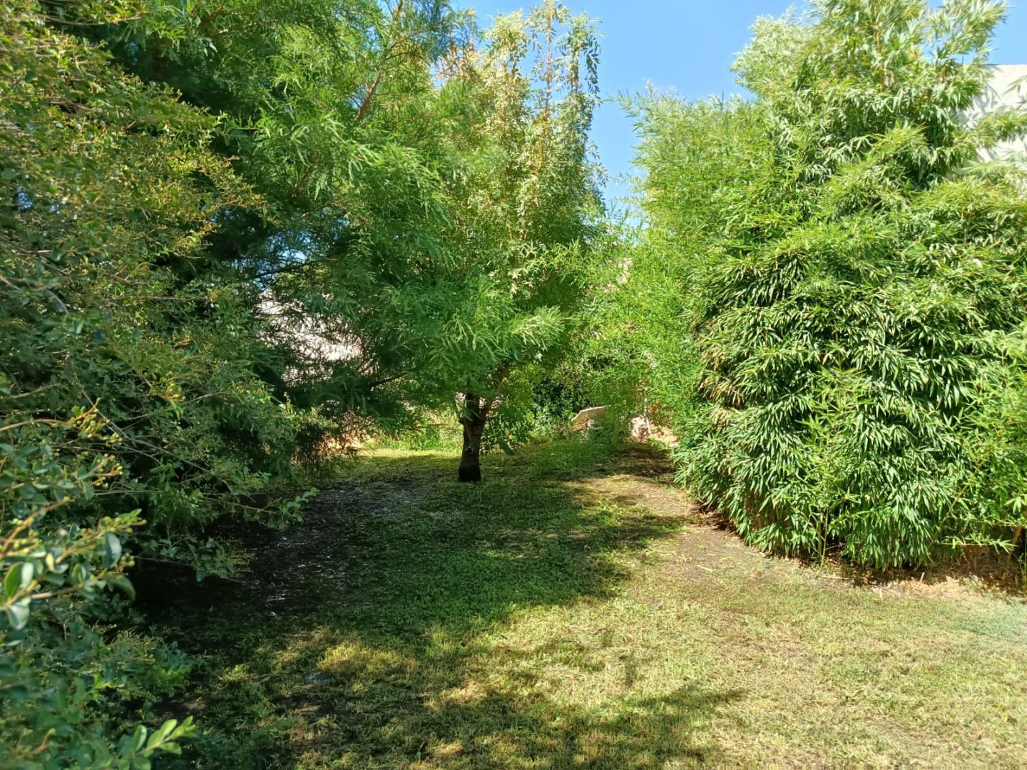 ALQUILER DE CASA EN Plottier - plotier - 28