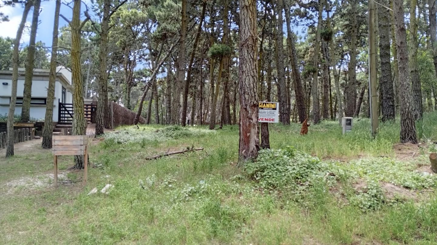 Lote EN VENTA