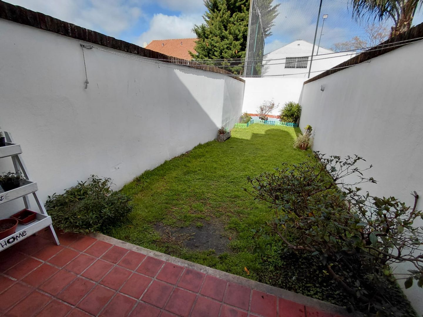 Imagen 13