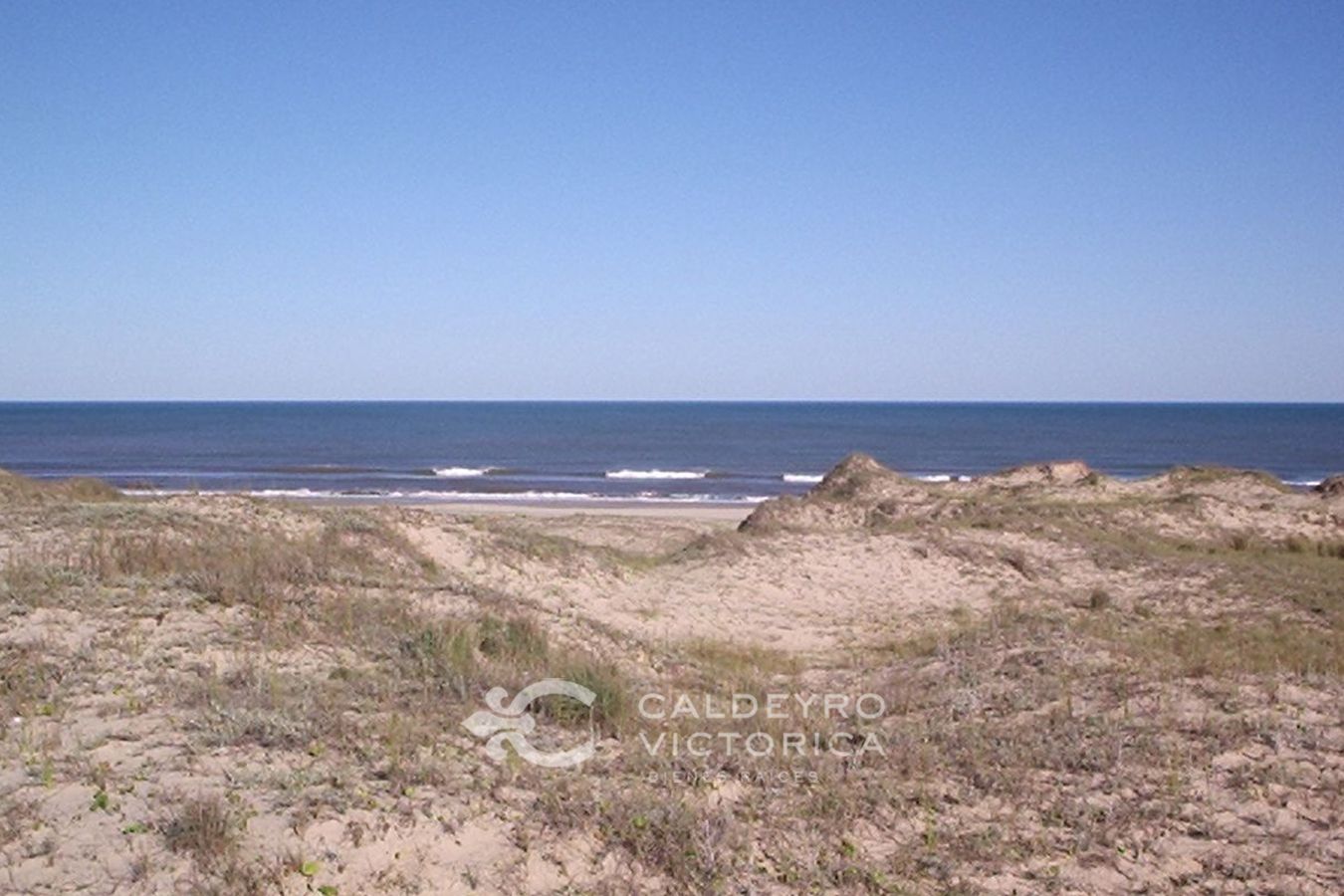 Campo EN VENTA