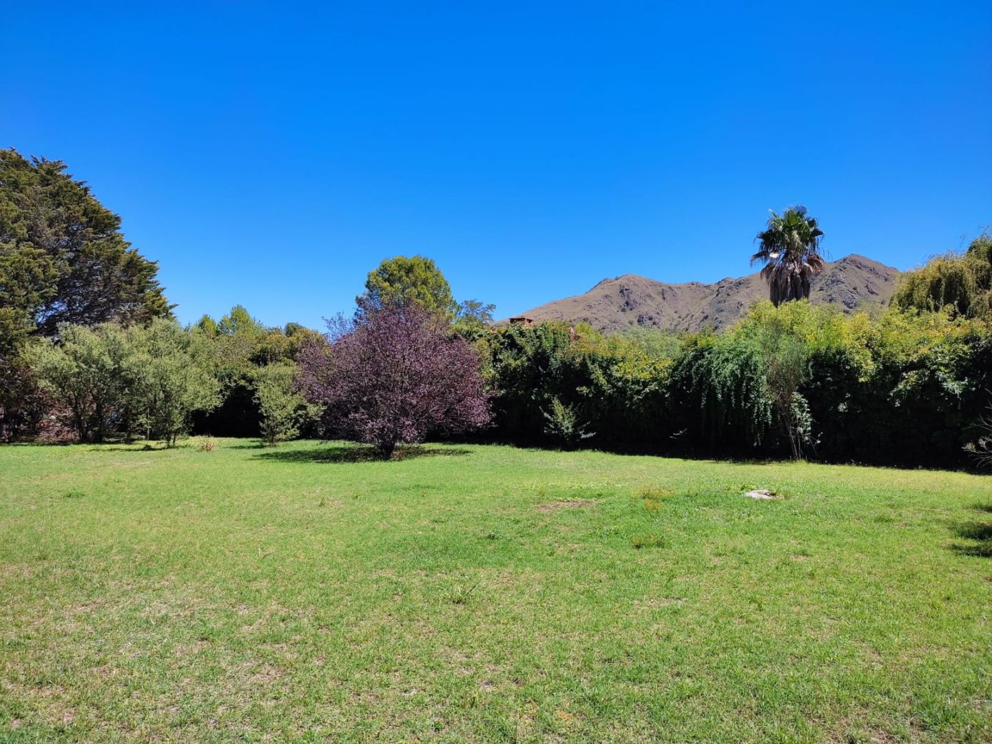 Lote EN VENTA