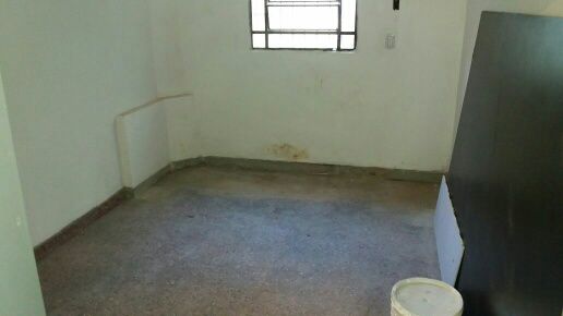 Imagen 6