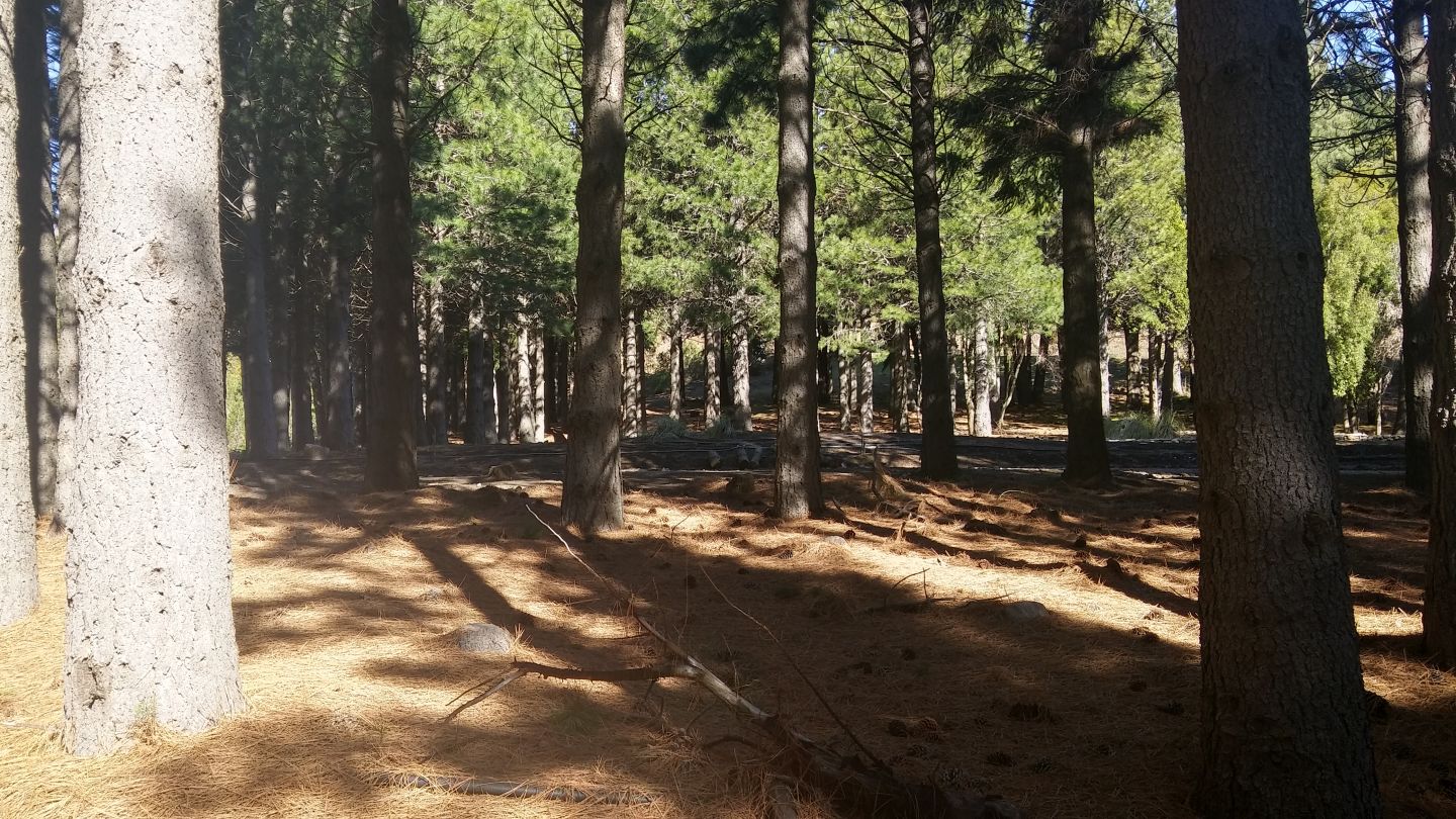 Lote en Venta en San Martin de los Andes, Neuquen