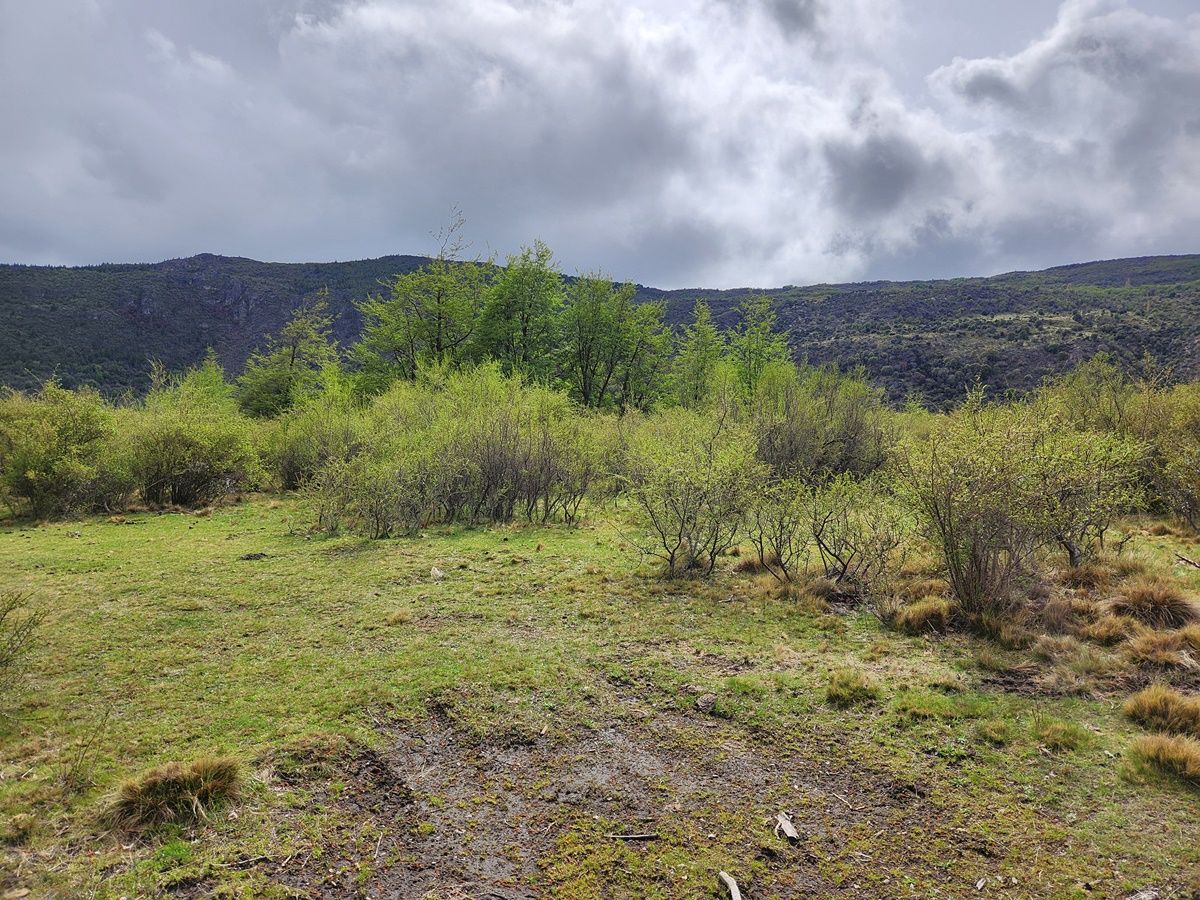 Campo EN VENTA