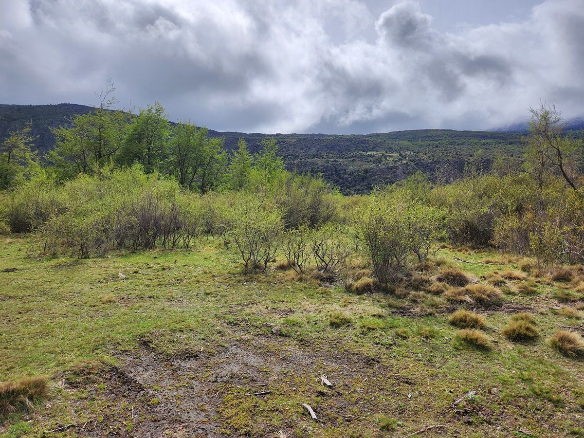 Campo EN VENTA