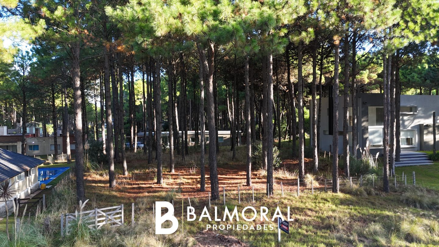 Lote EN VENTA