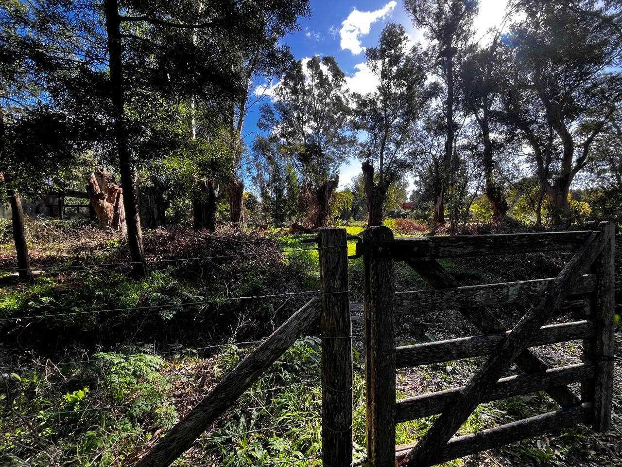Lote EN VENTA