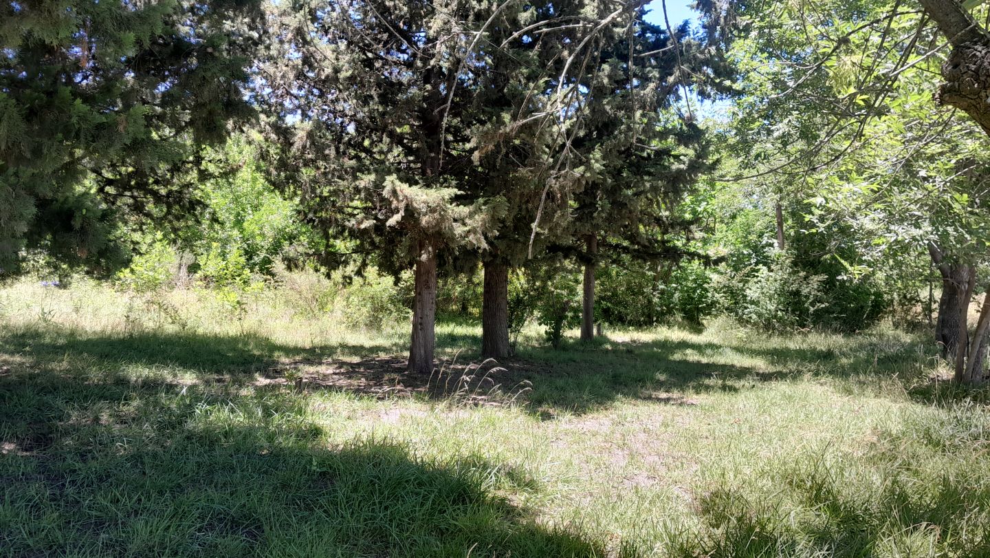 Lote en Venta en Punta Indio, Buenos Aires Interior