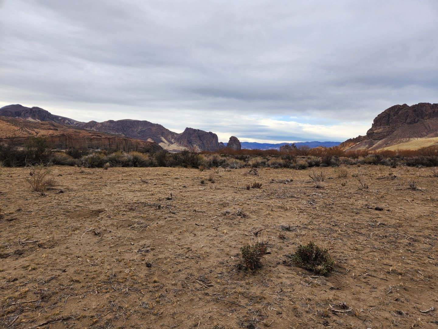 Campo EN VENTA