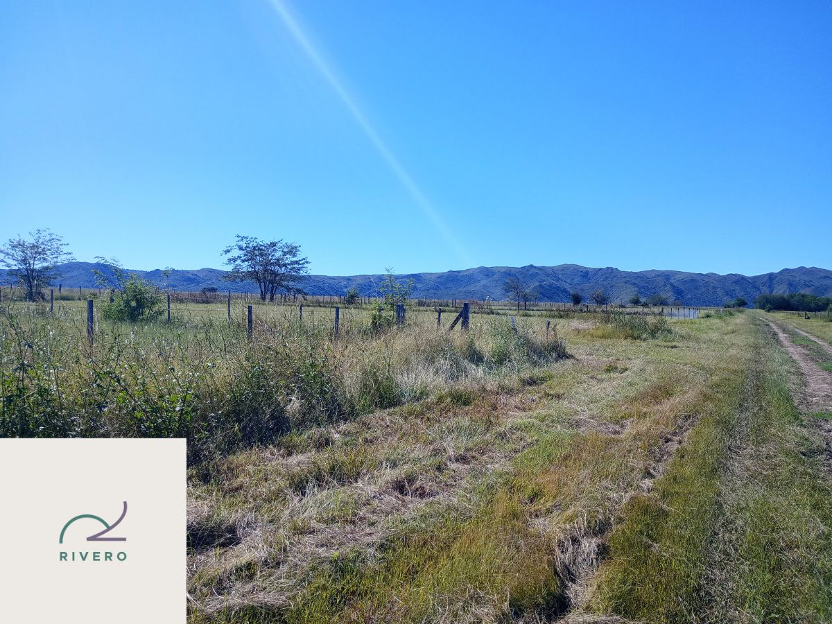 Lote EN VENTA