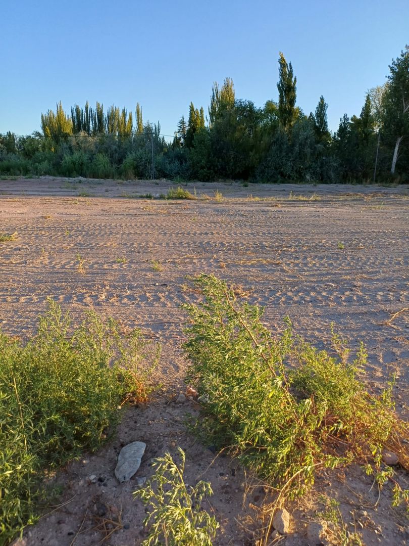 Lote EN VENTA