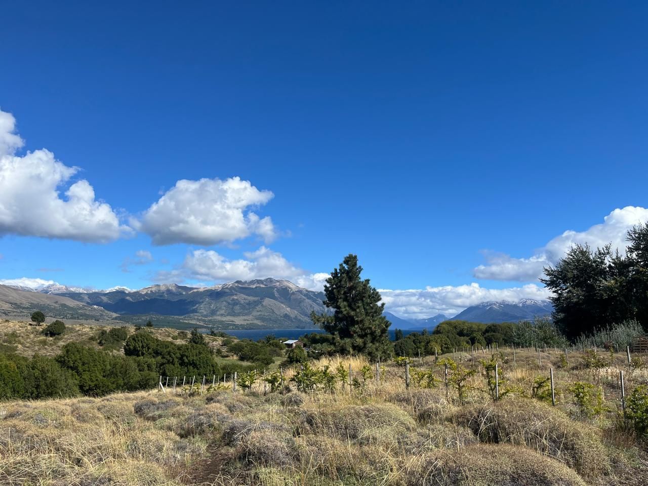 Lote en Venta en Huiliches, Neuquen