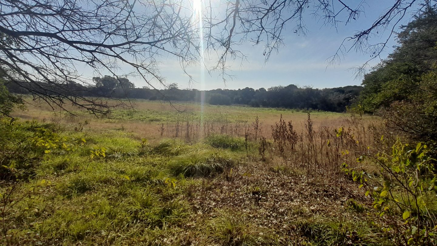 Lote EN VENTA