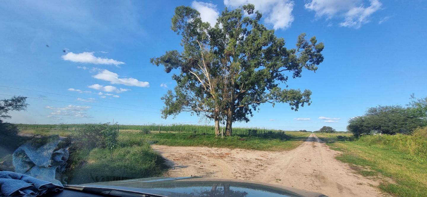 Campo EN VENTA