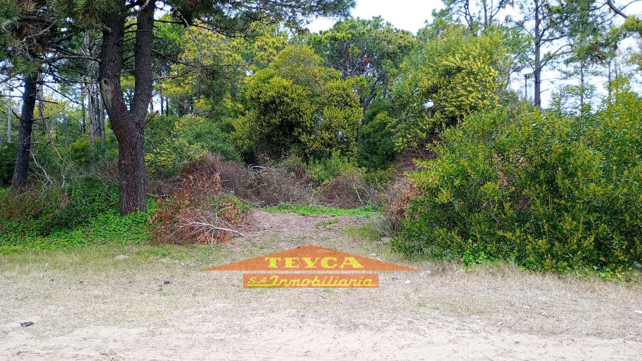 Lote en venta Norte 0 ambientes