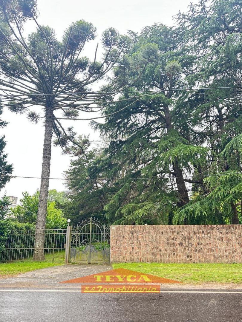 Lote en venta Villa Elisa 0 ambientes