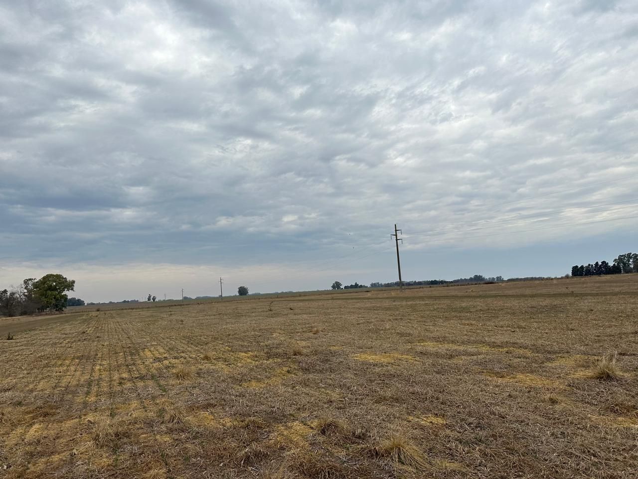 Campo en Venta en Arrecifes, Buenos Aires Interior